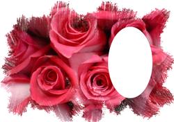 Rose with Feathered Edge Vellum or Insert Candy Pink