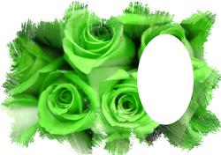 Rose Feathered Edge Lime Green Vellum or Insert