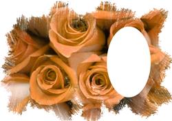 Rose Feathered Edge Vellum or Insert