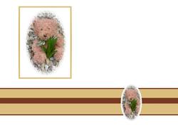 Teddy Bear Vellum or Insert