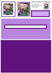 Teddy with Pansies - Penny Slider