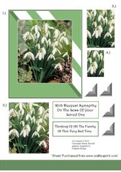 Snowdrops and Euyonumous Sympathy Stacker