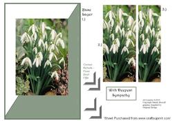 Snow Drops Sympathy Quick Card