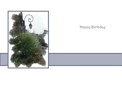Happy Birthday Vellum or Insert- a View from the Steps