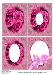 Tunnel Sheet Invertage Aperture with Pink Roses