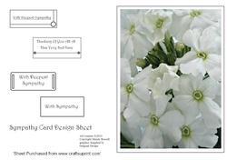 With Sympathy Design Sheet White Phlox