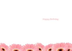 Pink Gerbera Happy Birthday Insert