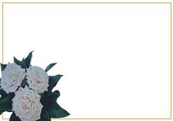 White Rose Coner Vellum or Insert