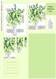 Vase of Lilies and Lissianthus and Gyp Simple But Stunning Pyramid Stacker Design Sheet