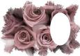 Roses Feathered Edge Vellum - Dusky Pink