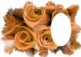 Roses Feathered Edge Vellum - Gold