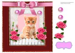 Pearly Kitty Cat