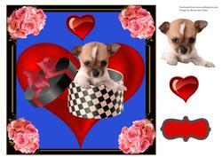 Give Puppy Love