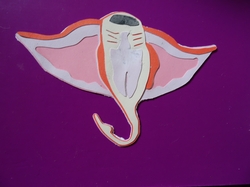 Manta ray