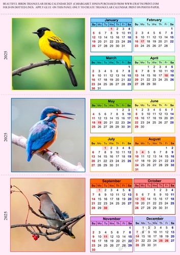 Beautiful Birds 1  Triangular Calendar 2025