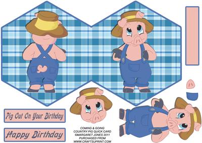 Coming & Going Country Pig Quick Birthday Card
