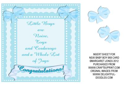 Insert for New Baby Boy 8 x 8 Card