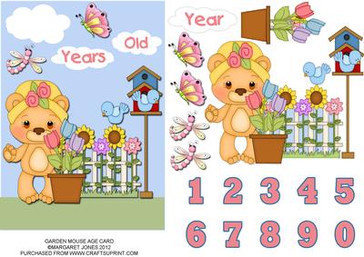 Garden Mouse Age Card Ages 1-10