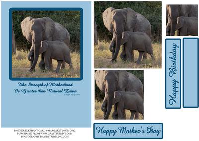 Mother Elephant & Calf Pyramid Card Front