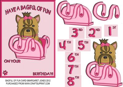 Bagful of Fun Birthday Card Age 1-8