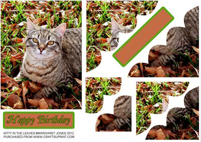Kitty in the Leaves Birthday or Any Occasion Corner Stacker