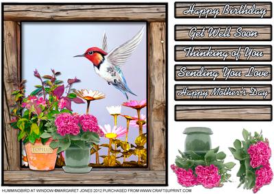 Hummingbird at Window 8 x 8 Card