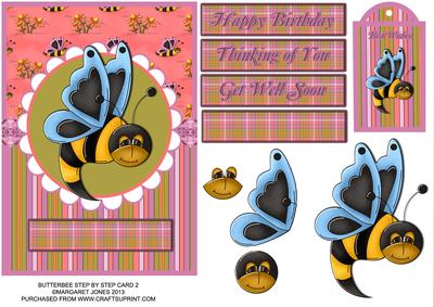 Butterbee 2 Step by Step - Birthday,get Well,thinking of You