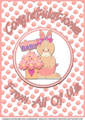 Congratulations from Us All A4 Baby Girl