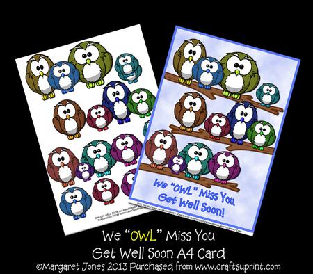 Owls A4 Get Well Soon Minikit
