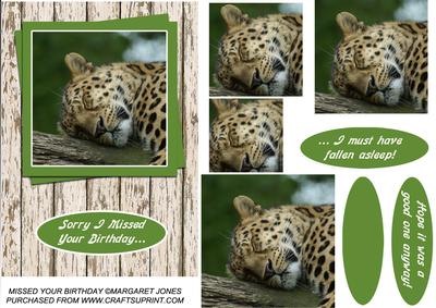 Sleeping Leopard Missed Your Birthday Pyramid Card