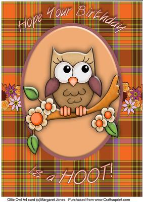 Ollie Owl A4 Card