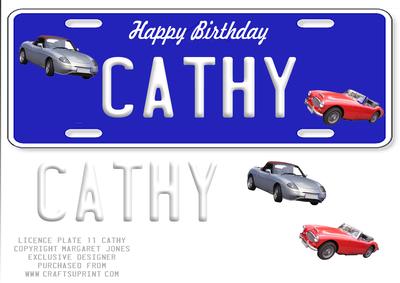 Large Dl Name Licence Plate 11 - Cathy