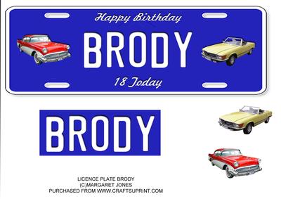 Licence Plate Name Brody Large Dl