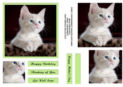 Cute Kitten Pyramid Card - Many Occasions