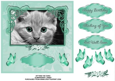 Green-eyed Kitten 7 x 7 Card