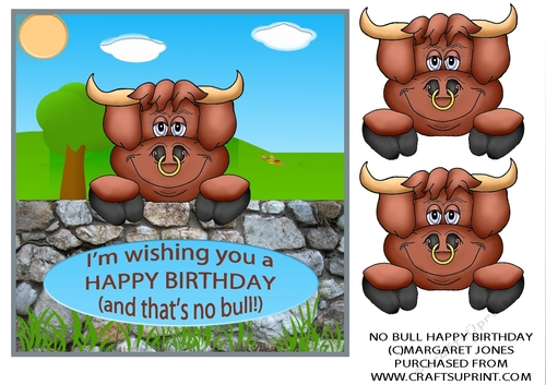 Happy Birthday No Bull 7x7 Card