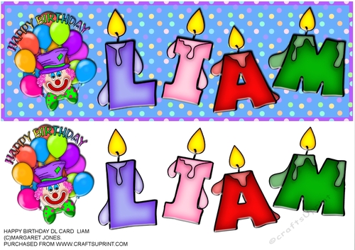 Name Card - LIAM - Large DL Card