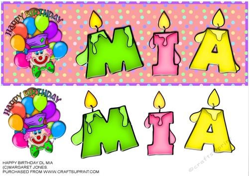 Name Card - MIA - Large DL Card