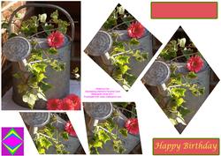 Watering Can Decreasing Diamonds Birthday Card