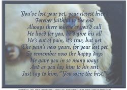 Sympathy, Dog, Male A4 Card