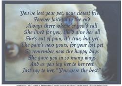 Sympathy, Dog, Female A4 Card