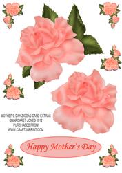 Mother's Day Zigzag Card Extras