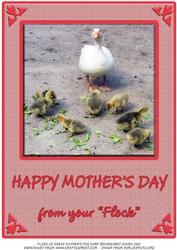 Mother's Day A4 from Your Flock