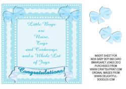 Insert for New Baby Boy 8 x 8 Card