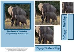 Mother Elephant & Calf Pyramid Card Front