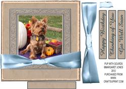 Pup with Gourds, in Frame