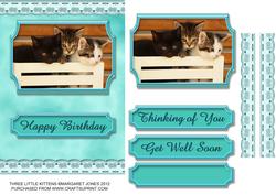 Three Little Kittens All-occasion Card