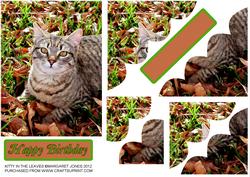 Kitty in the Leaves Birthday or Any Occasion Corner Stacker