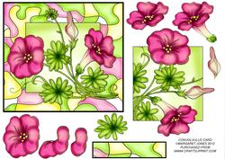 Convolvulus Flowers Card