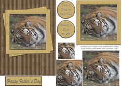 Tiger Fathers Day Pyramid